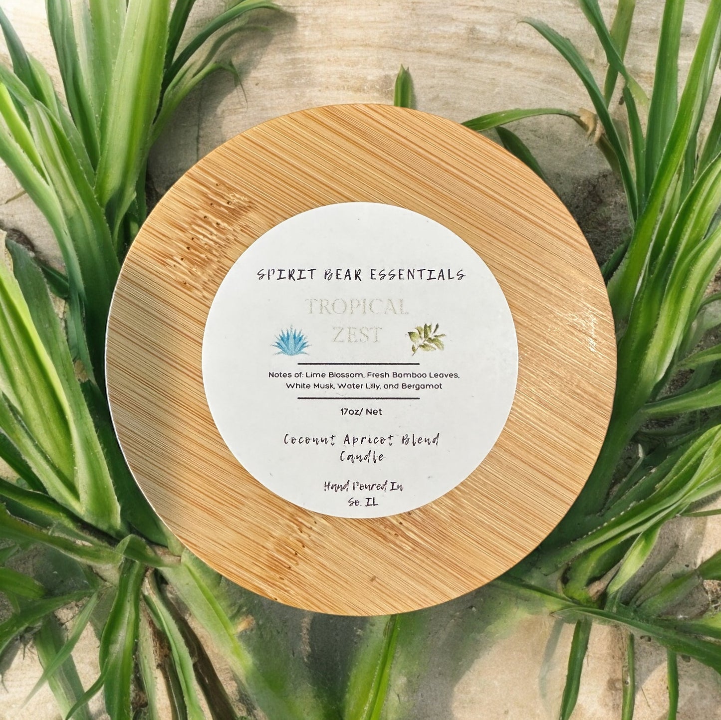 17oz Tropical Zest Candle