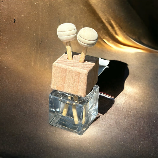 Car Clip Reed Diffuser